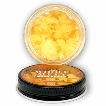 Sour Mango Live Resin Sugar | Premium Cannabis Extracts | Whole Melt